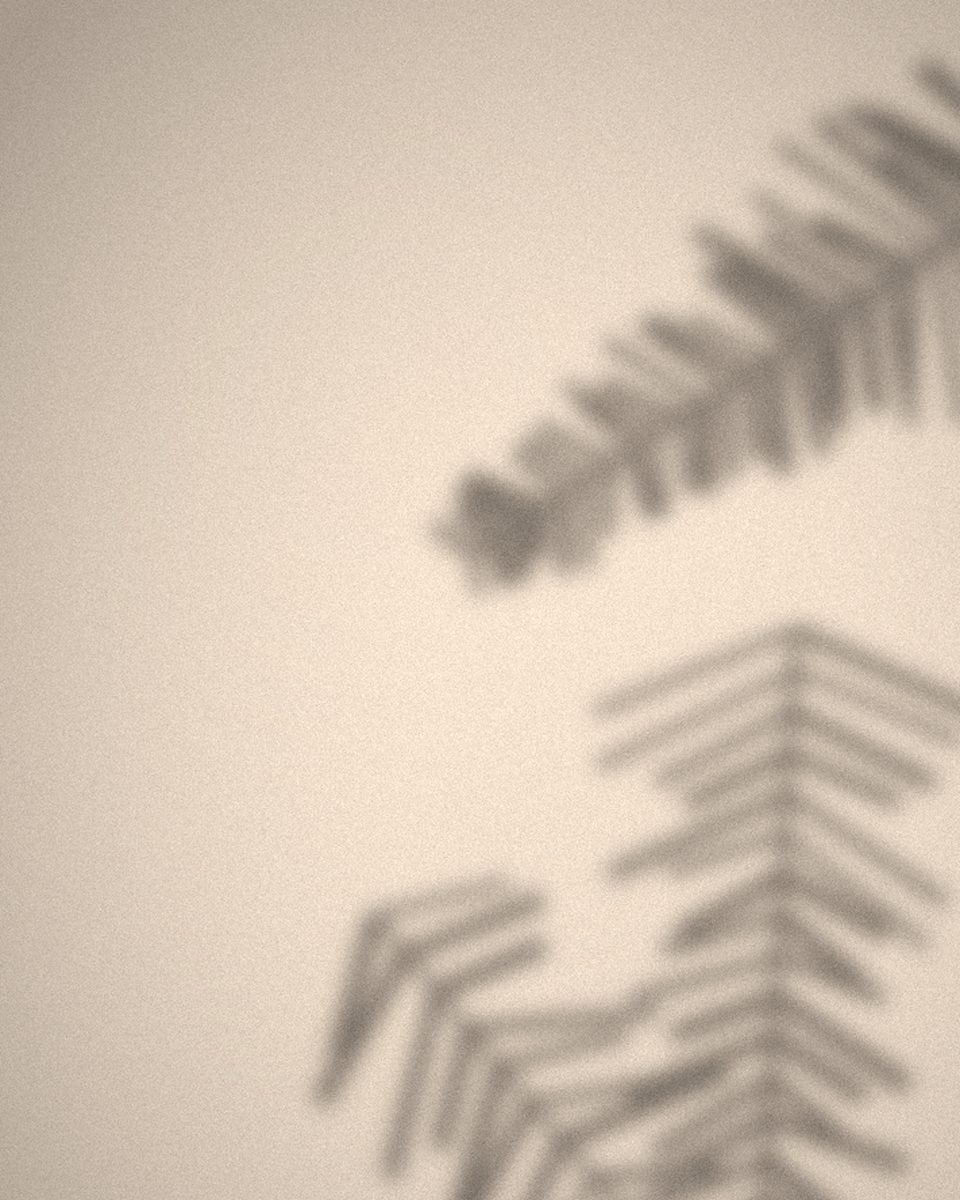 Second shadow